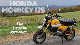 Honda Monkey 125 Review and Ride  The Good The Bad and Everything in Between [upl. by Oironoh543]