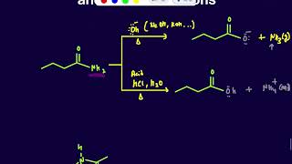 Hydrolysis of Amide under acidic and Basic Conditions [upl. by Nueoht]