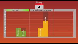 Insulin resistance in obese people and diabetes [upl. by Raney656]