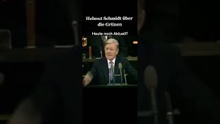 Helmut Schmidt über die Grünen [upl. by Hayikat658]