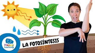 LA FOTOSÍNTESIS en Lengua de Signos  Ciencias Naturales Para Niños  Happy Learning fotosintesis [upl. by Marba]