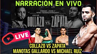 Collazo vs Zapata Narración EN VIVO  REY MTZ DA POSITIVO y Demás Noticias [upl. by Eenet]