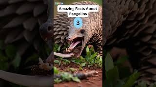 Amazing Facts About Pangolins You Should Know zapetv facts animals [upl. by Jermaine630]