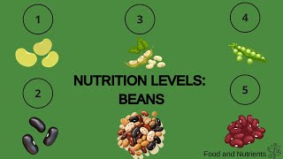 Nutrition Level Beans [upl. by Alahc]