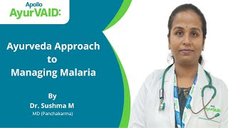 Ayurveda Approach to Managing Malaria  Dr Sushma M  Apollo AyurVAID Hospitals [upl. by Signe]