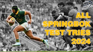 All Springboks Test Tries 2024 [upl. by Tini]