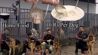 BEST HOME FOOD FOR DOGS 🐕 10 RS PER DOG 😳 50 DOGS IN KENNEL DAILY EXPENSE 2000 RS 😳😳😳 [upl. by Cory]