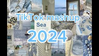 TikTok mashup 2024NOT CLEANtiktokmashup dances viral song 2024 mashup edit frypシ [upl. by Juline]