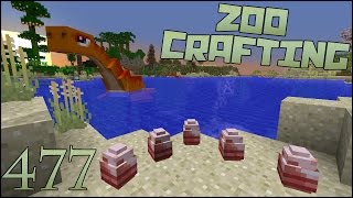 Plesiosaur Eggs 🐘 Zoo Crafting Episode 477 [upl. by Ranip]