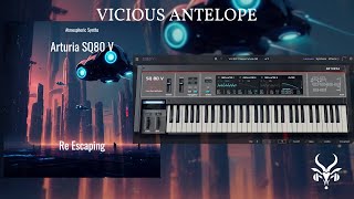 Arturia SQ80 V Presets  Vicious Antelope  Re Escaping [upl. by Herring]