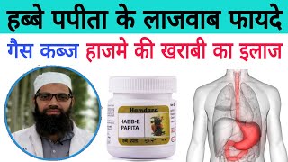 पेट रोगो की यूनानी दवाई  Habbe Papita Ke fayde in HindiBenefits in Hindi uses Hindi  Unani Gyan [upl. by Sitelc]