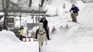 Crazy Winter Sport Skijoring  Season Pass [upl. by Richey]