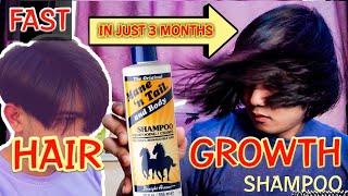 Fast hair growth shampoo mane and tail  hair grower  shampoo ng kabayo mabilis pampahaba ng buhok [upl. by Anbul738]