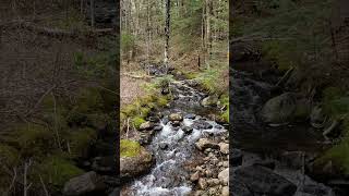 You could own a Dream Property with picturesque stream Adirondacks NY [upl. by Moshe238]