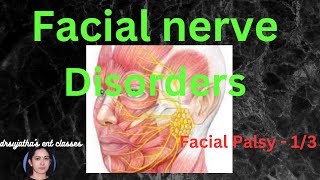 029 Facial Nerve Disorders  Part 13 facialpalsy [upl. by Ogaitnas]