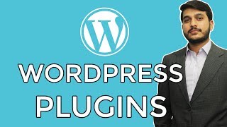 What are Wordpress Plugins How to reset Wordpress Urdu Hindi  WP  15 [upl. by Sande]