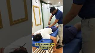 Adjustment for coccyx pain  tail bone chiropractor spine chiropractic coccyx [upl. by Sophronia]