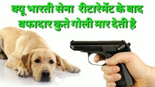 Indian army killed after retirement  in Hindi  Indian army dog retirement [upl. by Airamat]