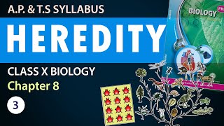 Class 10 heredity and evolution in Telugu 10th Biology Chapter 8  AP amp TS Syllabus  Part3 [upl. by Agiaf]