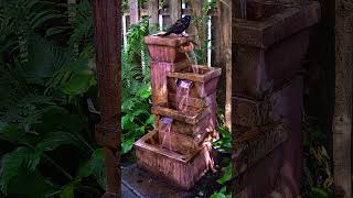 Grackle and chipmunk hang out together fountain birdbathfountain nature birdlovers chirpy [upl. by Etra]