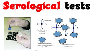 Serological tests [upl. by Avner]