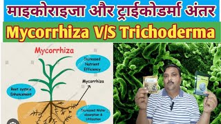 Mycorrhiza और Trichoderma में अंतर mycorrhiza trichoderma vam [upl. by Bianca]