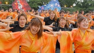 龍谷大学 華舞龍「2013 業火」気迫に満ちたラストダンスで号泣 [upl. by Giacobo]