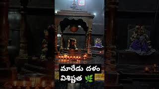 మారేడు దళం విశిష్టత 🌿ytshorts [upl. by Derby40]