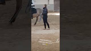 Ich bin meiner Reitlehrerin echt dankbar reiten dressage reiter equestrian reiterhof reitsport [upl. by Ydderf]