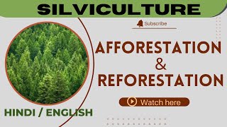 Afforestation and reforestation  definition and objects scoringscience4120  forestry classes [upl. by Rabah18]