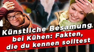 Künstliche Besamung bei Kühen Die Fakten die du kennen solltest [upl. by Rosenquist]