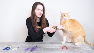 Top 5 Best Cat Nail Clippers We Tested Them All [upl. by Hedvige]