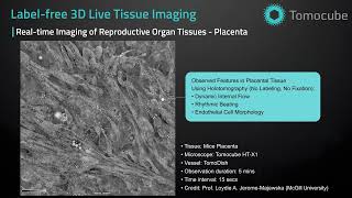 Reproductive Tissues  Label free 3D Live Tissue Imaging [upl. by Oyek534]