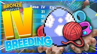 How To Breed For BETTER IVs In PBB PBB Updated IV Breeding Guide  Pokémon Brick Bronze [upl. by Bullis]