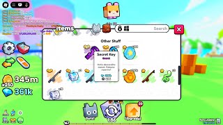 HOW TO USE YOUR SECRET KEY IN PETS GO [upl. by Eydie238]