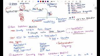 Antihypertensive Pharmacology  RAAS Inhibitors  ACE inhibitors  Angiotensin Receptor Blockers P3 [upl. by Bobette581]