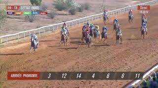 Live Hippodrome « SETTAT »  Courses du « 05102024 » [upl. by Imtiaz198]