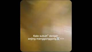 Subuh² denger anjing menggonggong ☠️shorts misteri viral [upl. by Eesyak]