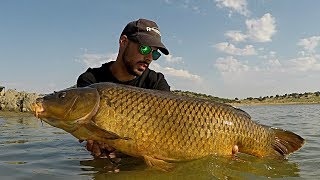 CARPFISHING EN ORELLANA  HD [upl. by Yarg251]