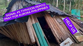 SIGNAL5 AURORA PHILIPPINESHELP US LIZA SARMIENTO is live [upl. by Regor]