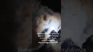 Ilaya Nila Pozhigiradhu movie Payanangal Mudivathillai 1982 ilayaraja spb tamilclassic [upl. by Ttessil]