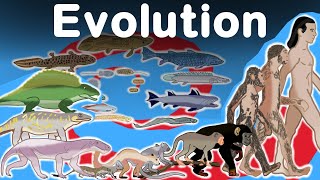 Awesome Human Evolution Timelapse [upl. by Matland]