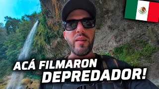 EN ESTA SELVA DE MEXICO SE FILMÓ LA PELICULA DEPREDADOR👀😱  PALENQUE🇲🇽 [upl. by Eckhardt]