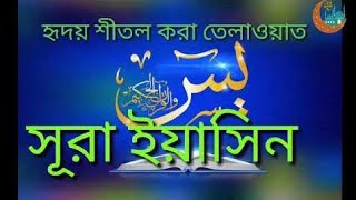 সূরা ইয়াসিন ও আর রহমান অর্থসহ। Surah yasin and Ar Rahman with bangla translationQari Shakir Qashmi [upl. by Hayyikaz170]