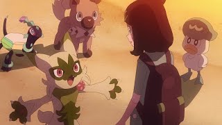 Sprigatito evolves into Floragato  Pokémon Horizons Episode 45 ENG SUB [upl. by Cathey]