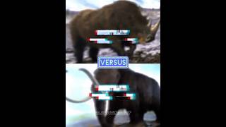 woolly mammoth vs woolly rhinoceros [upl. by Maitund]