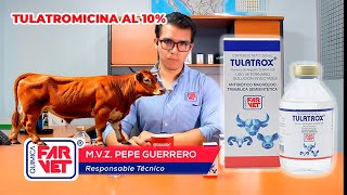 Solución para NEUMONÍAS GRAVES gabarro y conjuntivitis en Bovinos con UNA SOLA DOSIS TULATROX [upl. by Zilef]