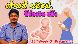 Pregnancy 36th Week  Sinhala Medical Review  අම්මයි බබයි [upl. by Hillell]