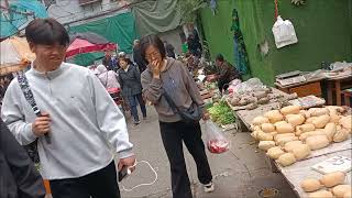 20241116 WuHan Wet Market [upl. by Mikkanen]