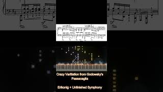 Crazy Variation from Godowskys Passacaglia crazy piano impossible [upl. by Keslie305]